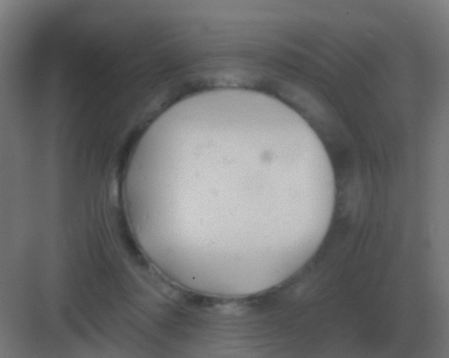 X0000081330310200702082209