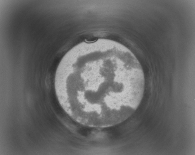 X0000081330311200702082209