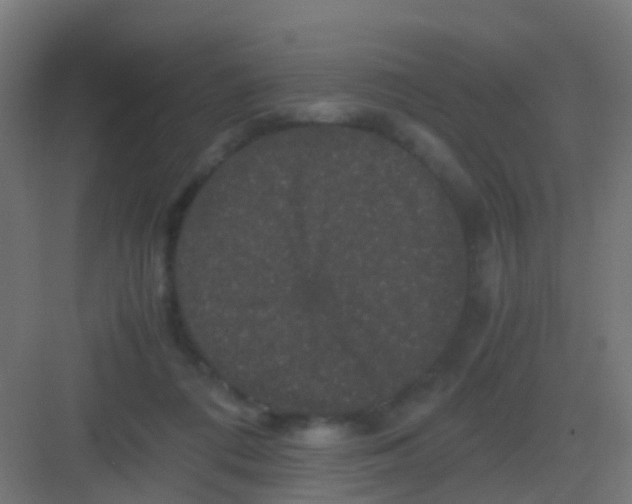 X0000081330312200702082209