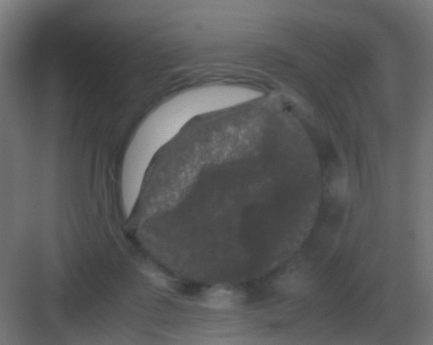 X0000081330315200702082209