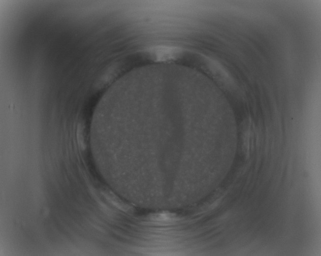 X0000081330316200702082209