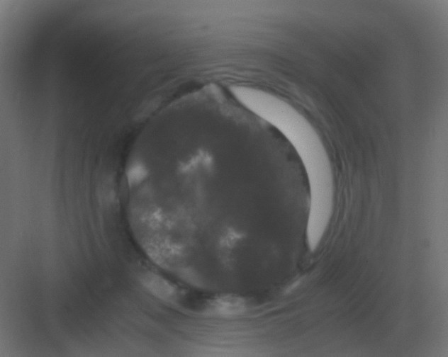 X0000081330317200702082209