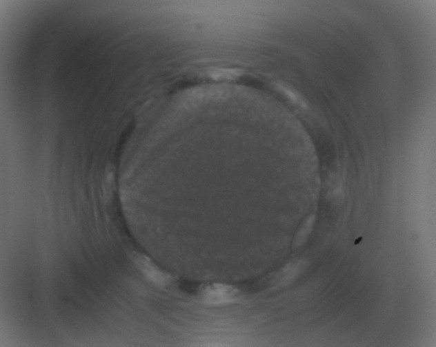 X0000081330321200702082209