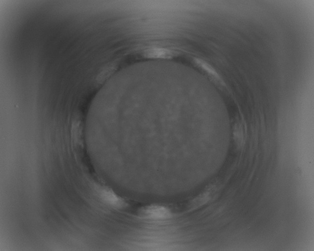 X0000081330322200702082209