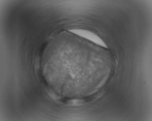 X0000081330323200702082209