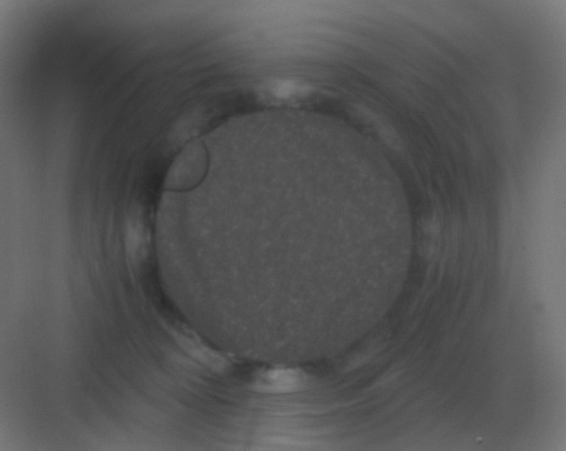 X0000081330324200702082209