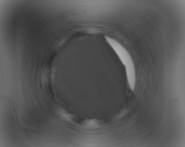 X0000081330325200702082209