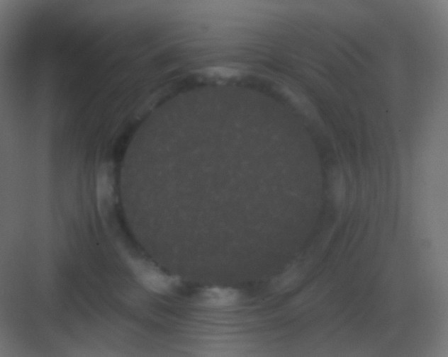 X0000081330328200702082209