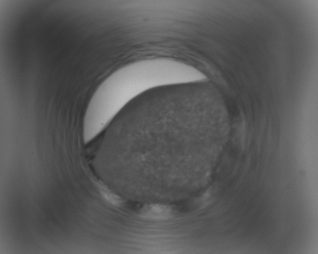 X0000081330329200702082209