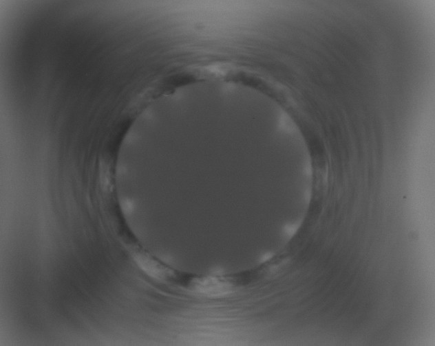 X0000081330331200702082209