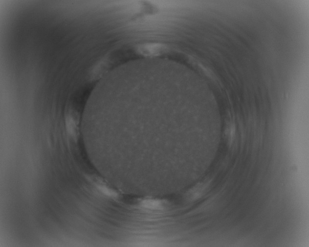 X0000081330332200702082208