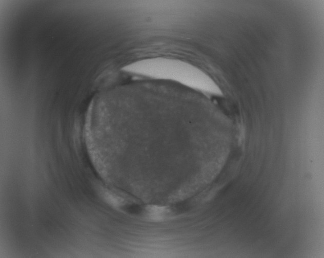 X0000081330333200702082208