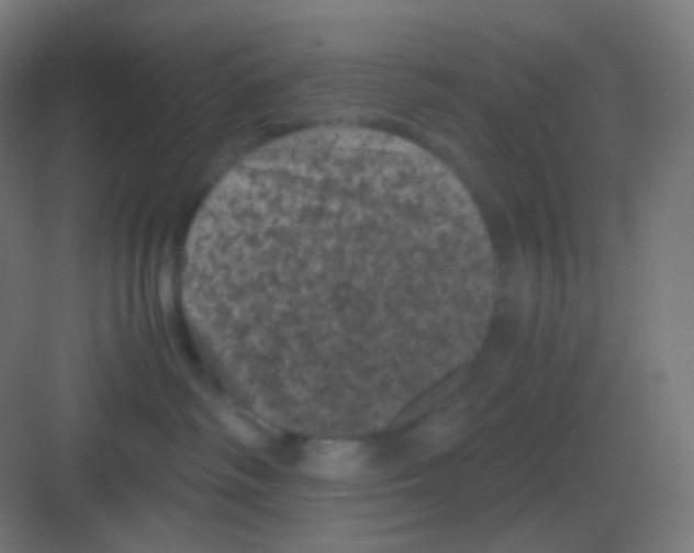 X0000081330334200702082208