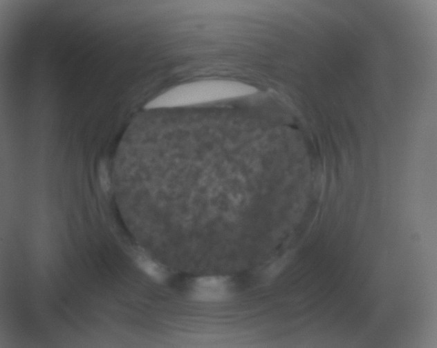 X0000081330335200702082208