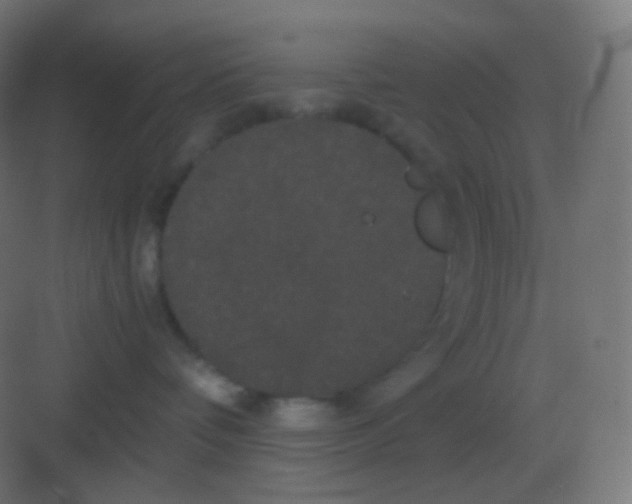 X0000081330336200702082208