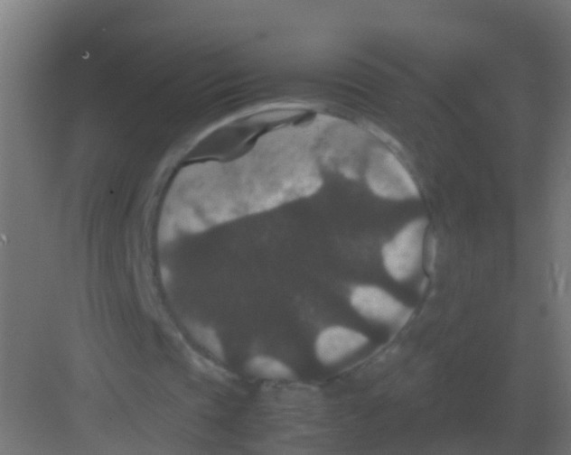 X0000081330337200702082208