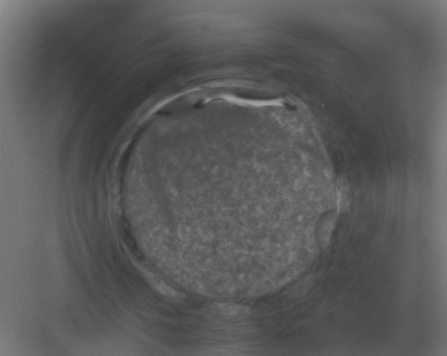 X0000081330339200702082208