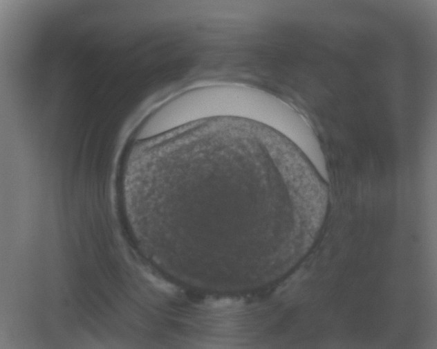 X0000081330340200702082208