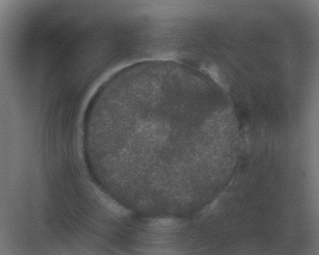 X0000081330342200702082208