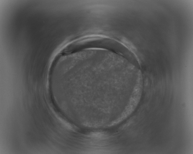 X0000081330344200702082208