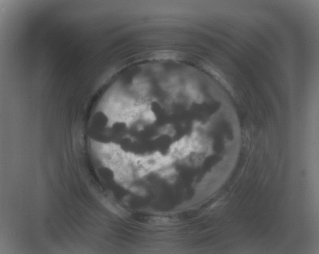 X0000081330347200702082208