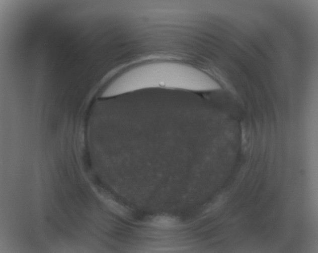 X0000081330348200702082208