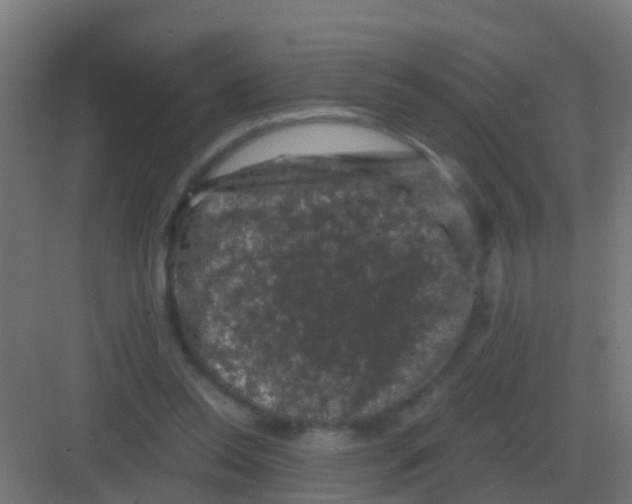 X0000081330350200702082208