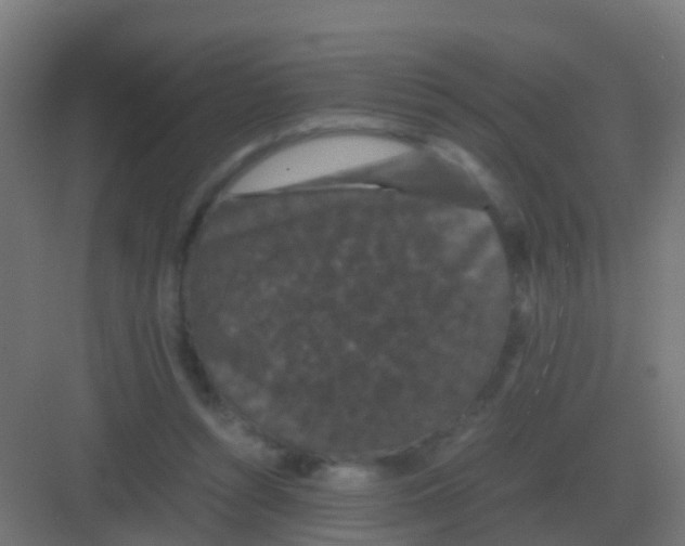 X0000081330352200702082208