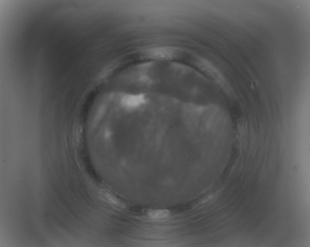 X0000081330355200702082208