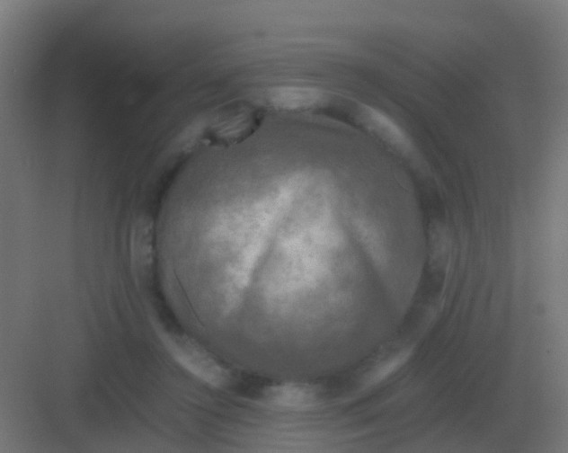 X0000081330356200702082208