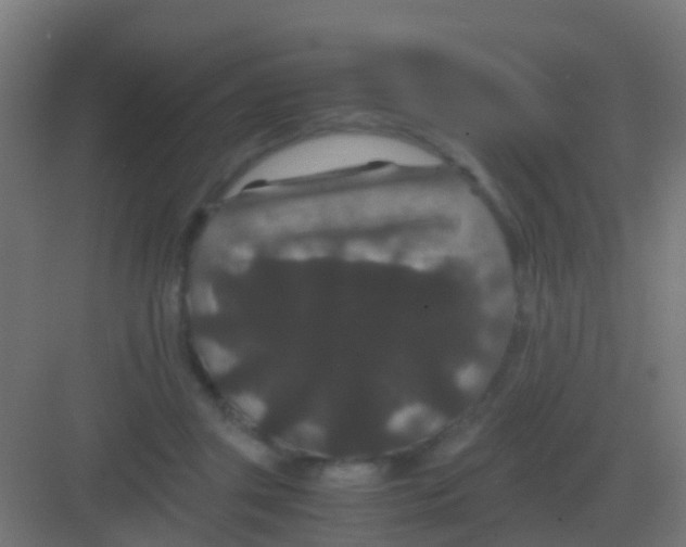 X0000081330357200702082208