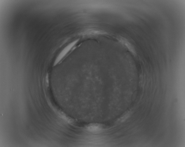 X0000081330358200702082208