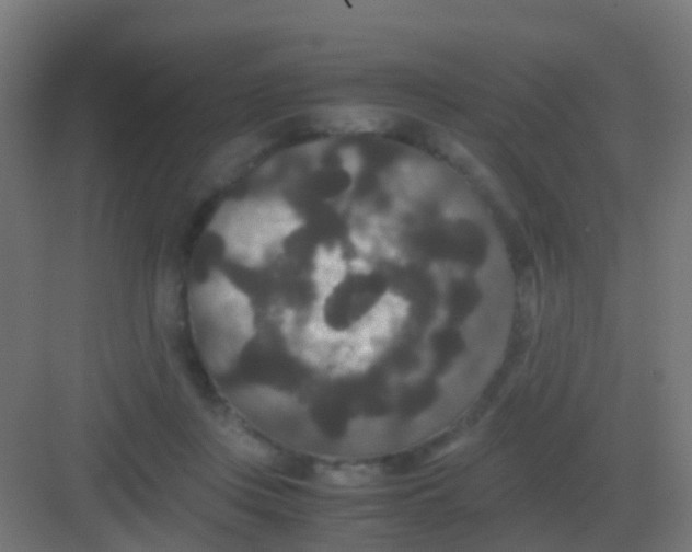 X0000081330359200702082208