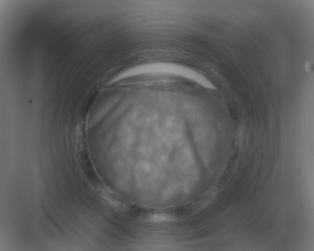 X0000081330360200702082208