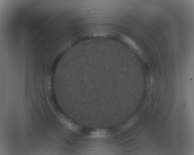 X0000081330362200702082208