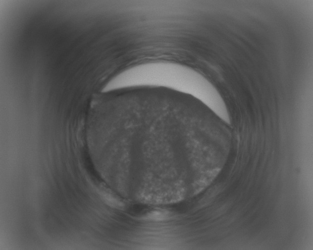 X0000081330364200702082208