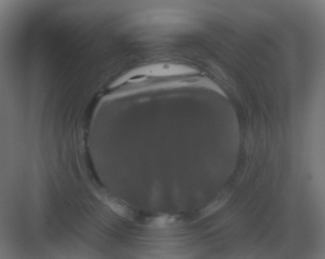 X0000081330366200702082208