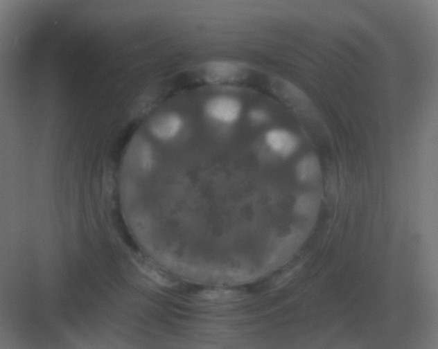 X0000081330367200702082208