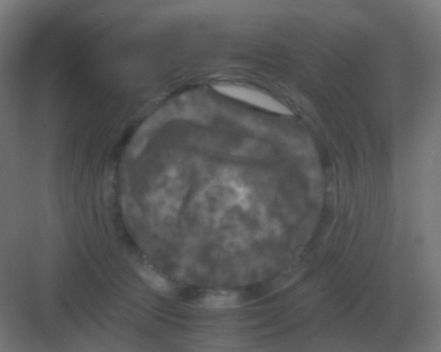 X0000081330369200702082208