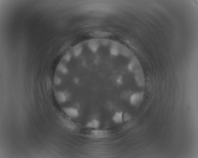 X0000081330371200702082208