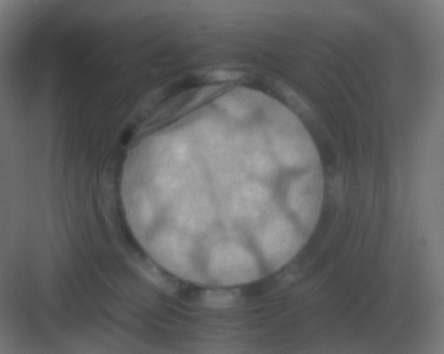 X0000081330373200702082208