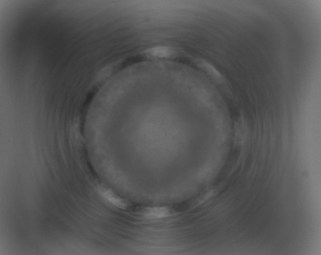 X0000081330377200702082208