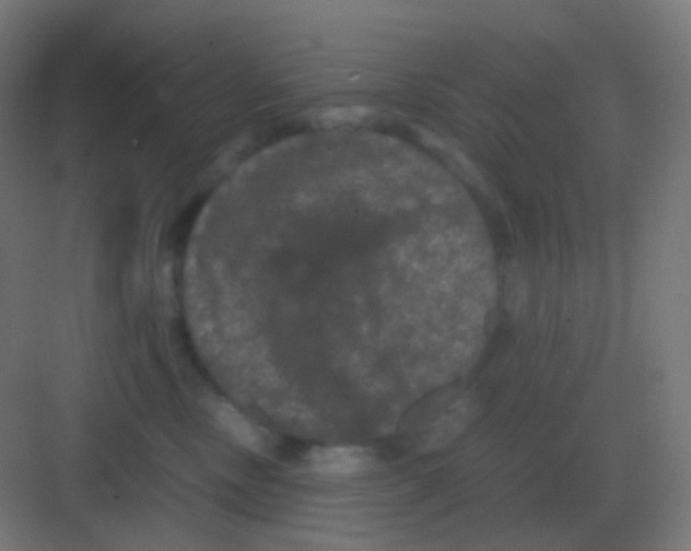 X0000081330378200702082208