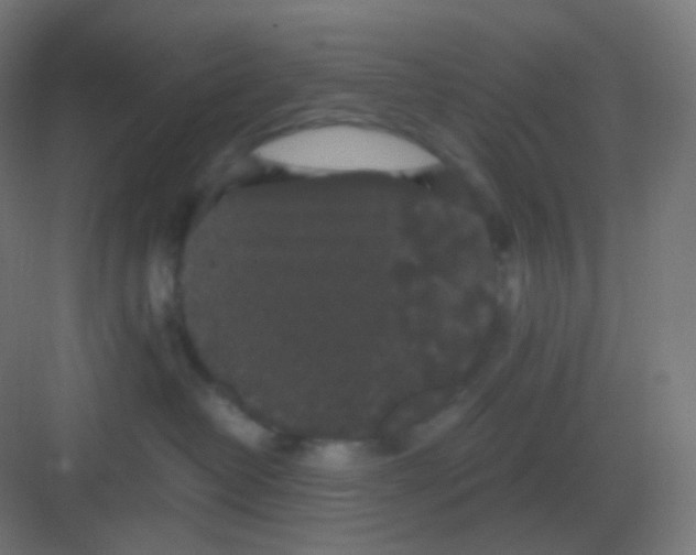 X0000081330382200702082208