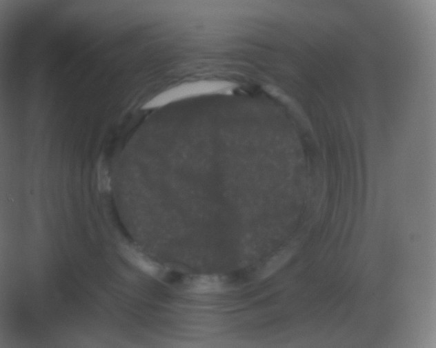 X0000081330384200702082208