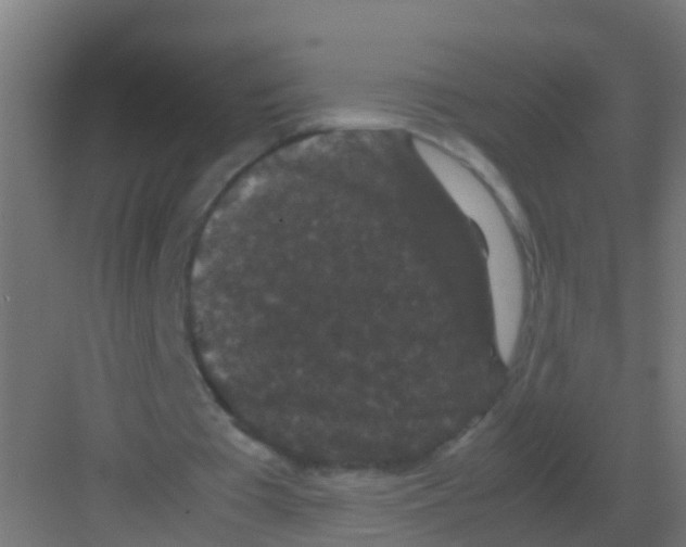 X0000081330385200702082208