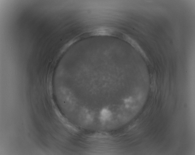 X0000081330386200702082208