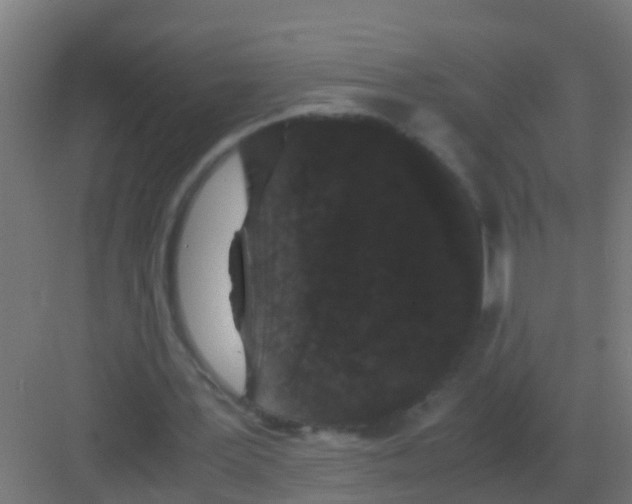 X0000081330387200702082208