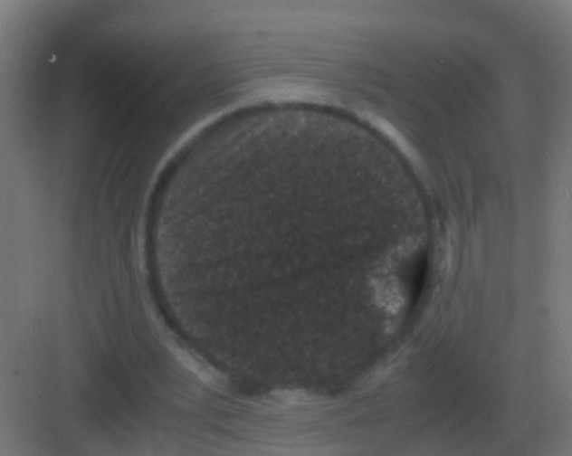 X0000081330391200702082208