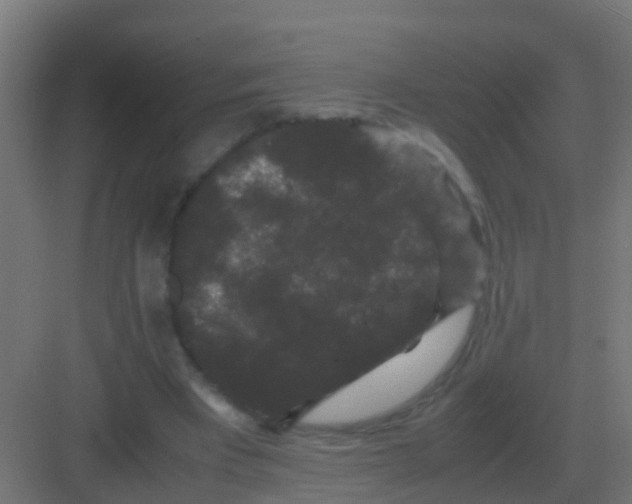 X0000081330393200702082207